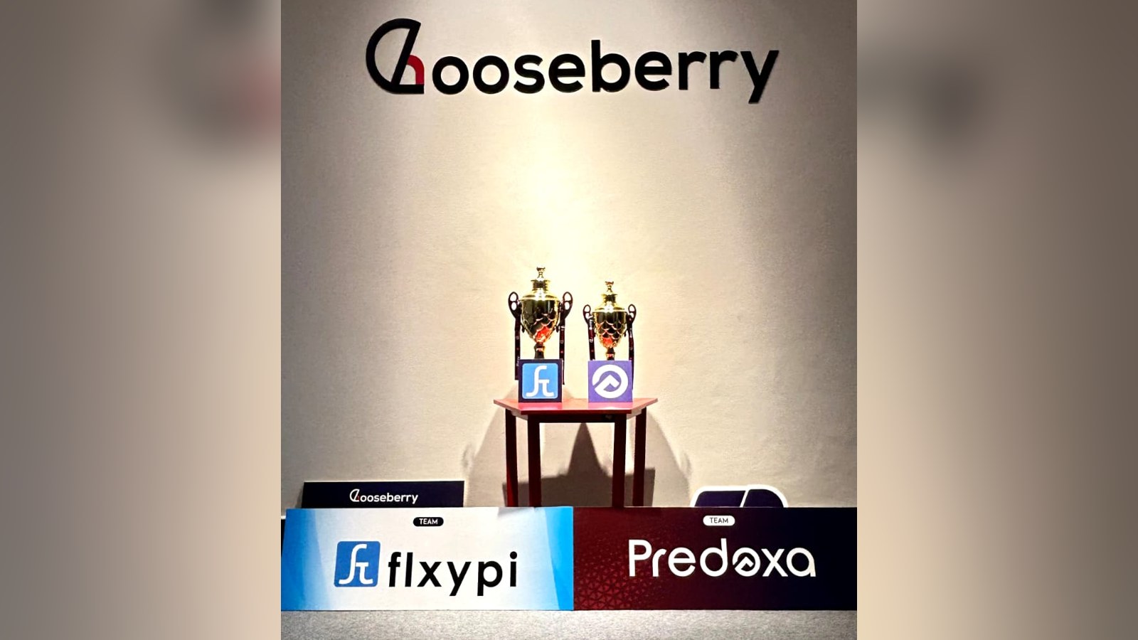 What Is Gooseberry? How Gooseberry Build Automation Tools For Businesses?